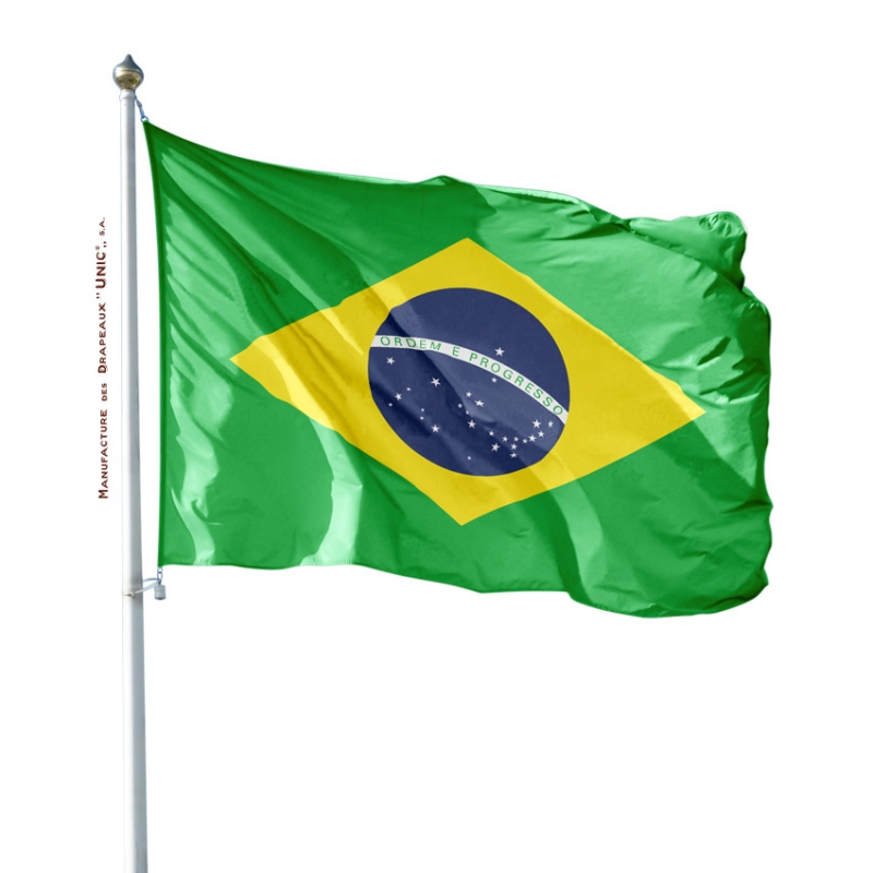 Drapeau du Brésil, Drapeaux de pays